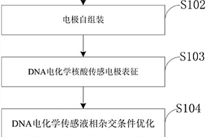 DNA甲基化特異位點(diǎn)的電化學(xué)分析方法