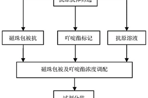 檢測風疹病毒IgM抗體的化學發(fā)光免疫分析試劑盒