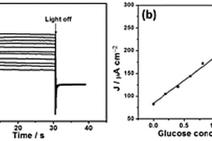 基于Fe<Sub>2</Sub>O<Sub>3</Sub>電極的無酶葡萄糖光電化學(xué)傳感器及其制備方法與檢測(cè)方法