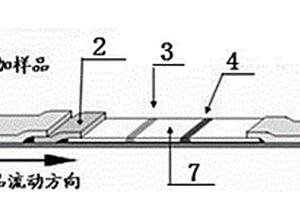檢測恩諾沙星殘留的時間分辨熒光免疫分析試紙的制備方法