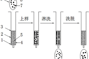 分子印跡固相萃取-液質(zhì)聯(lián)用檢測(cè)膝溝藻毒素的分析方法