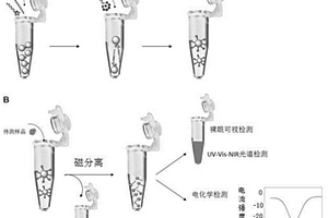 基于中空金納米粒-DNA復(fù)合物的生物/化學(xué)檢測(cè)試劑和檢測(cè)方法