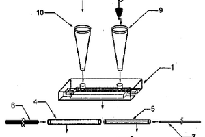 毛細(xì)管電泳與流動(dòng)注射通用型電化學(xué)發(fā)光流通檢測(cè)池