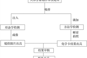 可同時進行鏡檢與化學卡檢測的分析儀