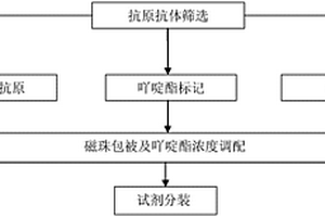 檢測巨細胞病毒IgG抗體化學發(fā)光免疫分析測定試劑盒及其制備方法