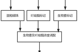 檢測人生長激素化學發(fā)光免疫分析測定試劑盒及其制備方法