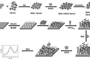 基于RGO-CMCS-Hemin/Pd NPs電化學(xué)傳感器檢測GPC3的方法