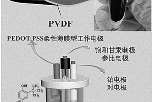 柔性薄膜型檢測叔丁基對苯二酚的電化學(xué)傳感器及其制備方法