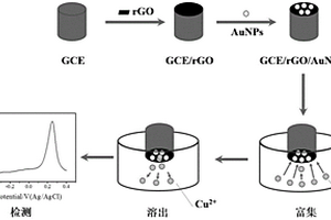 利用納米金-石墨烯復(fù)合電極檢測(cè)Cu<sup>2+</sup>的電化學(xué)方法