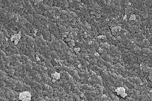 β<sub>2</sub>-受體興奮劑的廣譜特異性分子印跡聚合物、化學(xué)發(fā)光試劑盒及檢測(cè)方法和應(yīng)用