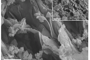 基于Ti3C2Tx@UIO-66-NH2的電化學(xué)生物傳感器及其檢測方法