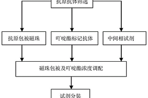 檢測單純皰疹病毒1+2型IgM抗體的化學發(fā)光免疫分析試劑盒及其制備方法