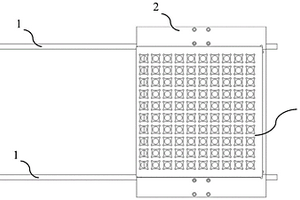 高通量全自動(dòng)拉曼光譜分析儀系統(tǒng)及測(cè)試方法