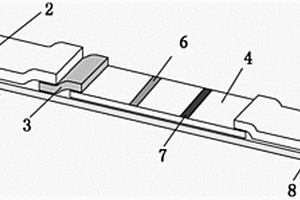 快速檢測(cè)駝奶α-乳白蛋白時(shí)間分辨熒光微球試紙條制備方法