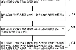 活細(xì)胞線粒體中還原型谷胱甘肽的濃度測定方法