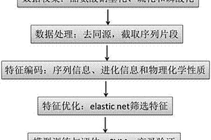 識別酪氨酸翻譯后修飾位點的預(yù)測算法