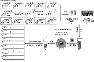 檢測神經(jīng)鞘氨醇己三糖苷的多通道質(zhì)譜衍生試劑及其制備方法與應(yīng)用