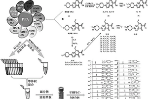 檢測羥基多環(huán)芳烴的多通道質(zhì)譜衍生試劑及其制備方法與應(yīng)用