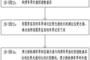 基于拉曼光譜技術(shù)與化學(xué)計量法的蘋果身份識別方法