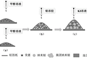 微塑料表面吸附污染物的原位檢測(cè)方法