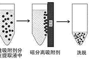 富集養(yǎng)殖家畜尿樣中克倫特羅、萊克多巴胺和沙丁胺醇的方法