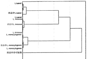 傅立葉變換紅外光譜技術(shù)對3種李斯特氏菌的分類鑒定