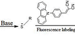 新型的咔唑類熒光硫醇標(biāo)記試劑及其合成方法與應(yīng)用