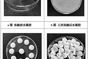 鑒定肉品新鮮度智能指示標(biāo)簽的制備方法與應(yīng)用