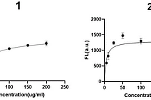 可特異性識別氟苯尼考及氟苯尼考胺的核酸適配體及其應(yīng)用