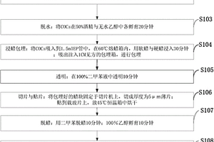 包含多個(gè)復(fù)合體的新型COCs復(fù)合結(jié)構(gòu)組織的制備方法