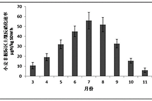 測定非根際區(qū)土壤反硝化的方法