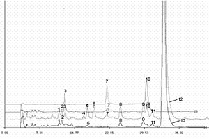 用干姜、穿山龍、雞血藤制成的治療風(fēng)濕痹痛藥的HPLC特征圖譜的構(gòu)建方法