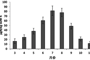 測(cè)定根際區(qū)土壤反硝化的方法