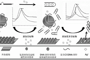 核酸修飾的超順磁性光子晶體傳感材料、制備方法和應(yīng)用