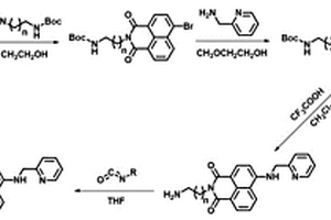 熒光化合物、熒光探針和熒光傳感薄膜及其制備方法和應用