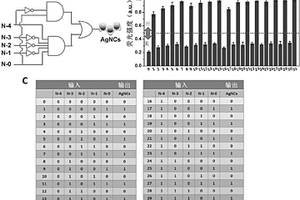 基于銀納米簇和氧化石墨烯的免標(biāo)記奇偶判別器的制備及應(yīng)用