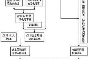 綜合監(jiān)測海水入侵砂巖含水層方法