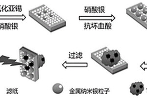 具有過(guò)濾功能SERS基底的制備方法及應(yīng)用