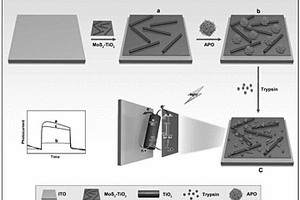 硫化鉬-氧化鈦納米復(fù)合材料的制備及其應(yīng)用