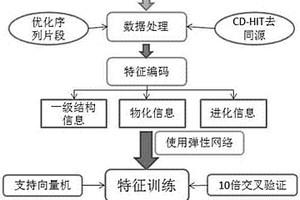 原核蛋白質(zhì)乙?；稽c(diǎn)的預(yù)測(cè)方法