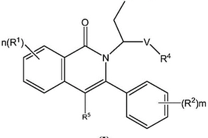 N-烷基取代芳基異喹啉酮化合物，其制備方法及藥物組合物和應(yīng)用