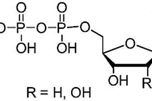 堿基修飾核苷酸的合成方法及其用途