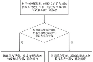 獲得氣相燃料自著火臨界條件的實(shí)驗(yàn)方法