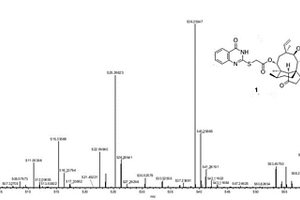 截短側(cè)耳素衍生物及其應(yīng)用