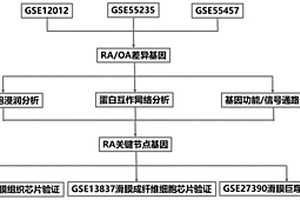 類風(fēng)濕性關(guān)節(jié)炎的潛在免疫分子及信號通路的篩選方法