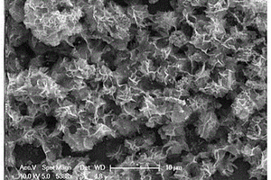 花狀硫化鎳材料的制備方法及其在超級(jí)電容器中的應(yīng)用