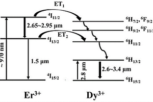 寬譜帶中紅外Er,Dy:YAP激光晶體及其制備方法和應(yīng)用