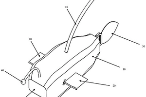 適應(yīng)深水區(qū)域的仿生機(jī)器魚(yú)