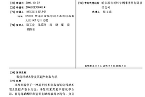 氧化鋅納米管及其超聲制備方法