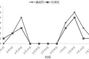 甜瓜迷實蠅的防治方法